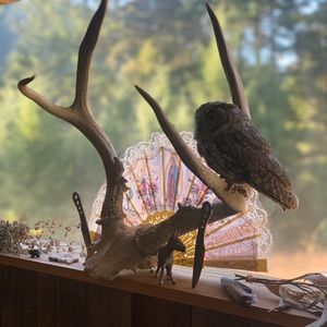 Meet your Posher, Jared